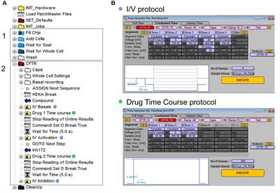 Development of Automated Patch Clamp Technique to Investigate CFTR Chloride Channel Function